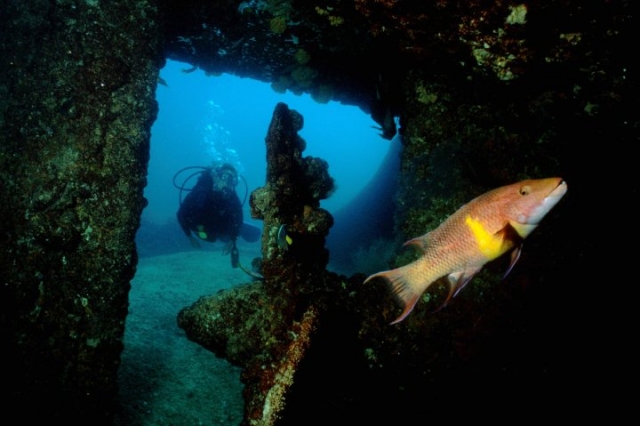 Explorando el fondo marino